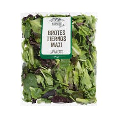 Ensalada mezcla brotes tiernos maxi lavada