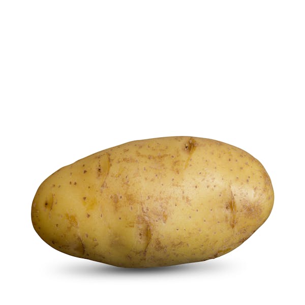 Patata