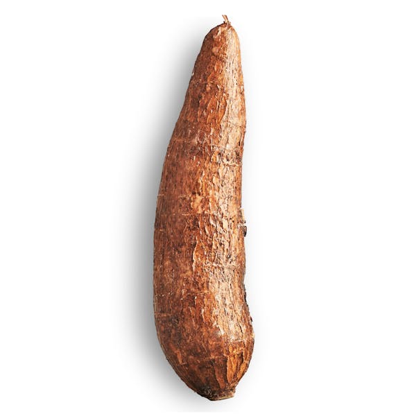 Yuca