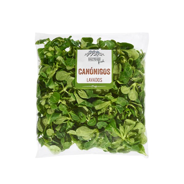 Canónigos lavados